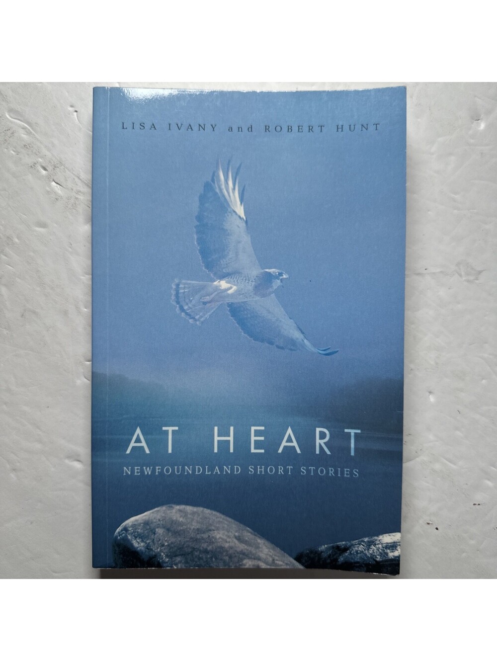 At Heart Newfoundland Short Stories Ivany Hunt 2006 1st Edition Flanker Press